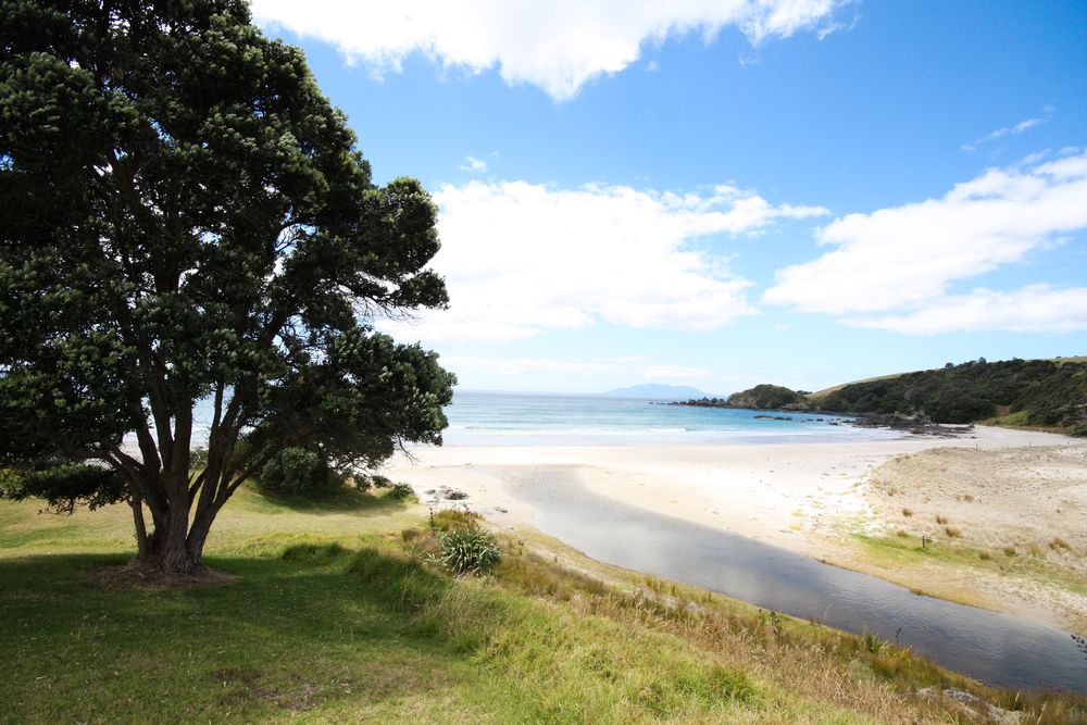 tawharanui regional park camping - Leola Prus