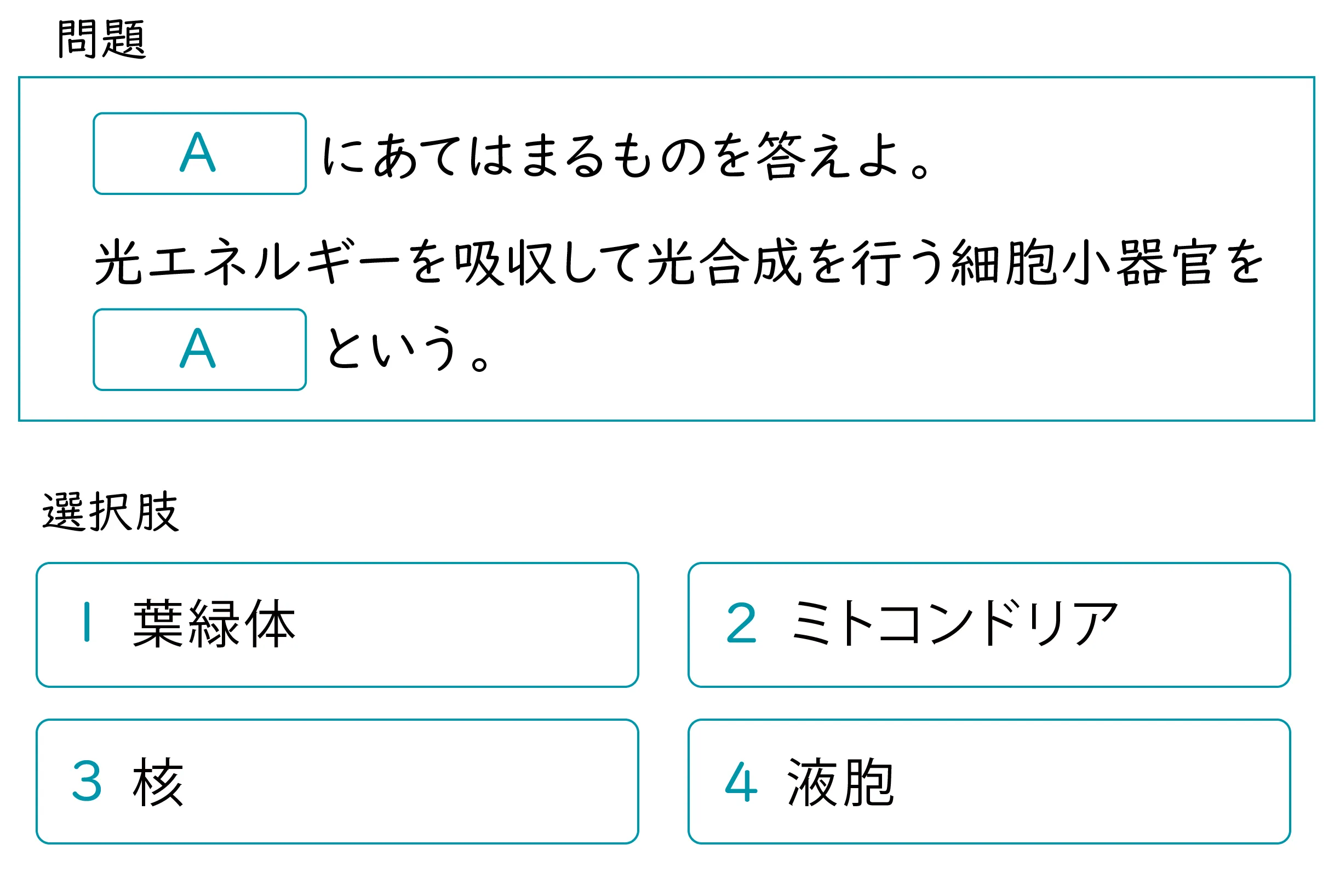 「真核細胞の細胞小器官」単元の、一問一答形式で語句を答える演習問題