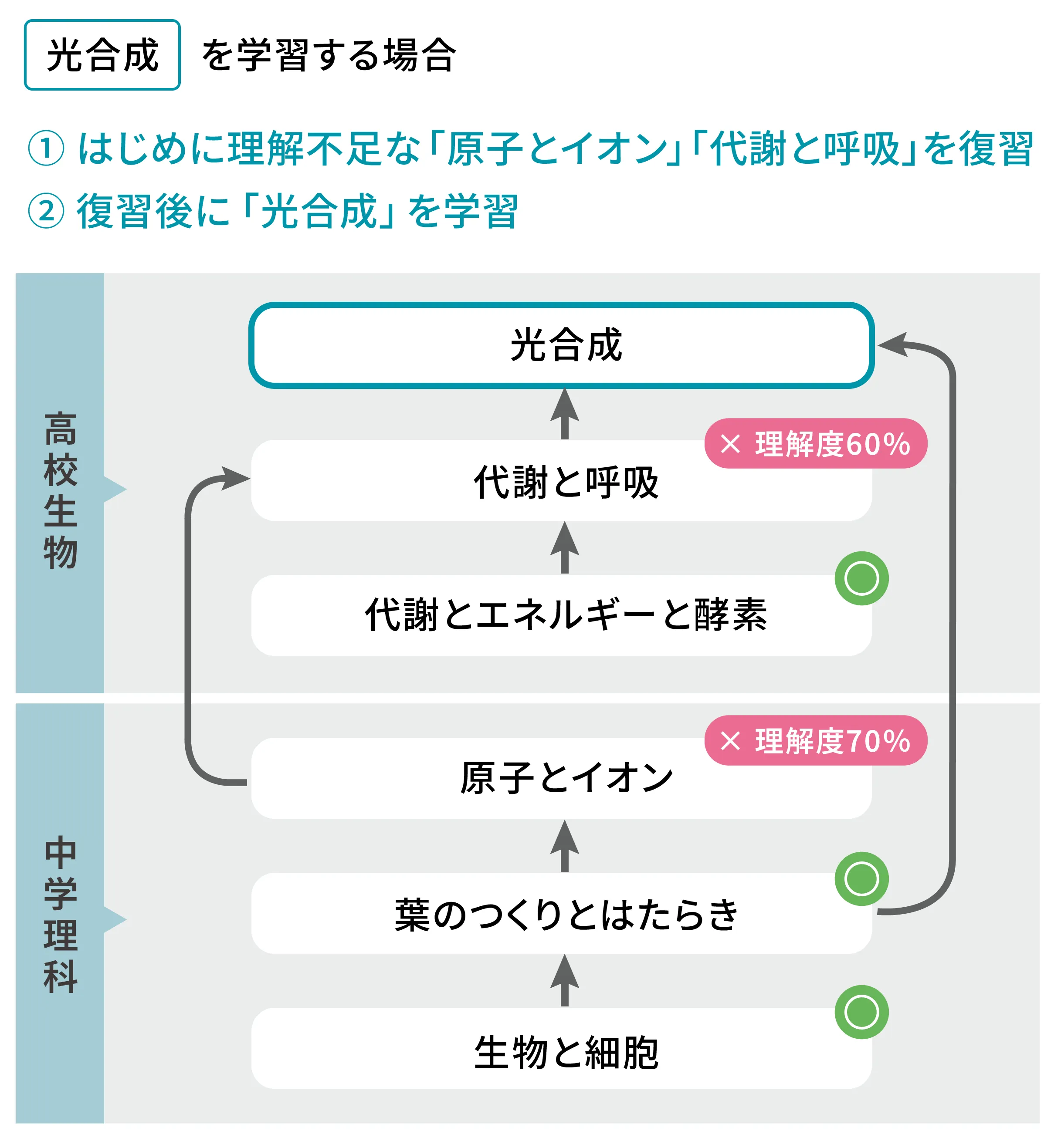 「光合成」を学習する場合の、土台となる単元が示された画像。高校生物範囲では「代謝と呼吸」単元、中学理科範囲では「原子とイオン」「葉のつくりとはたらき」単元が土台単元となる