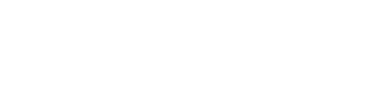 Association of Play Industries Member 