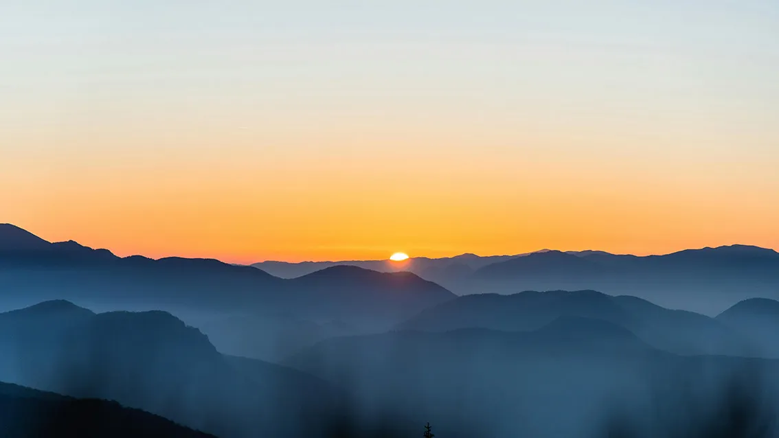 Night Owl vs. Early Bird : Êtes-vous plutôt couche-tard ou lève-tôt ?