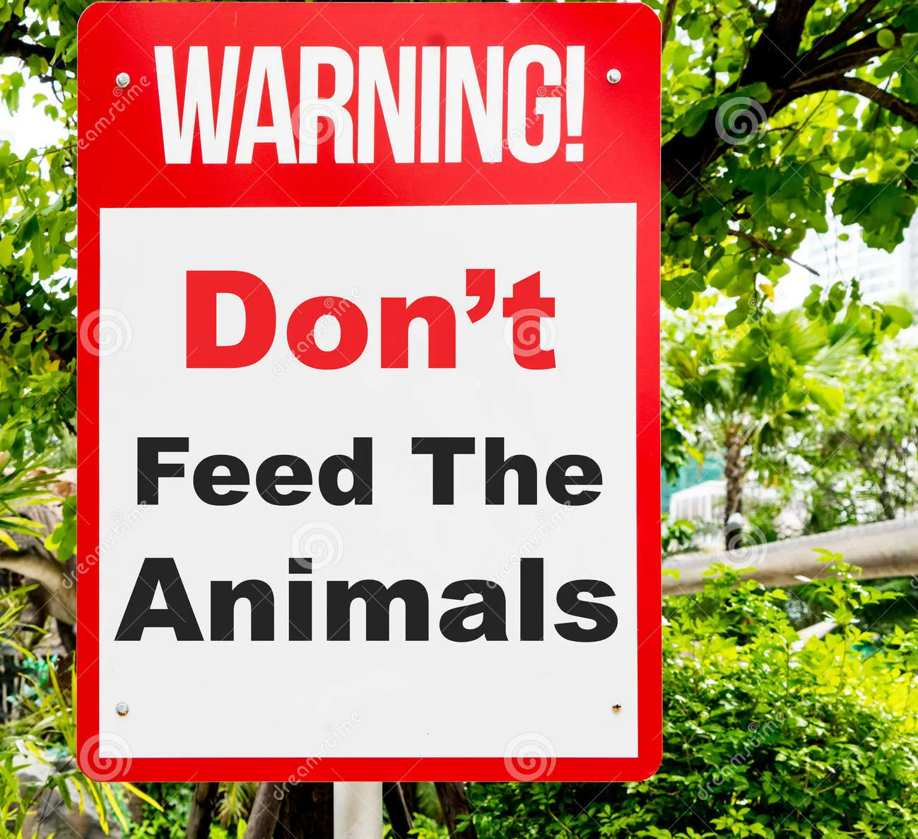Panneau zoo en anglais illustrant l'impératif négatif : Do not feed the animals