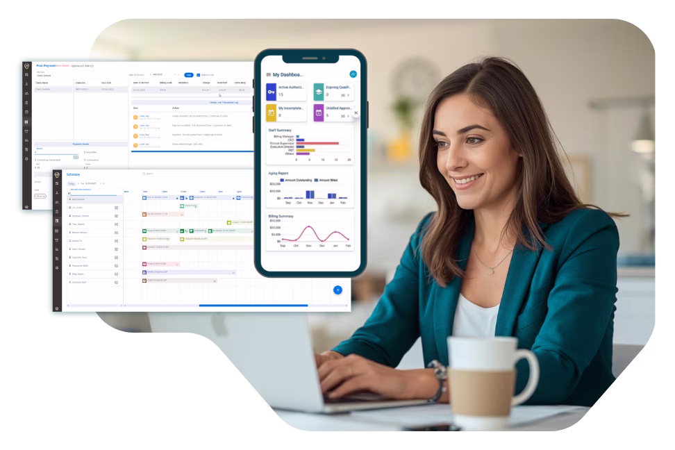 ABA Practice Management Software
