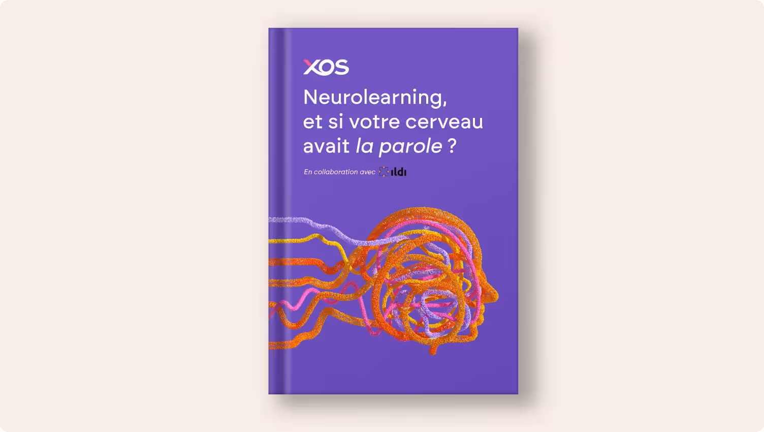 Neurolearning, et si votre cerveau avait la parole ?