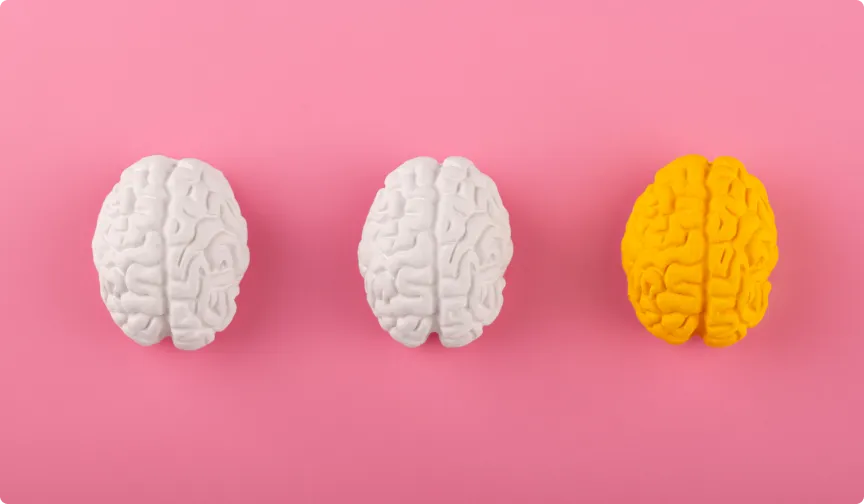 Mythe ou réalité : n’utilisons-nous vraiment que 10% de notre cerveau ?