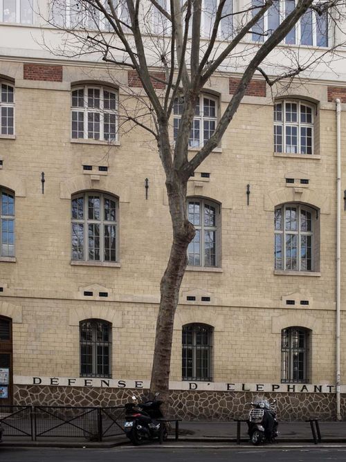 U125 Paris "Défense d'éléphant"