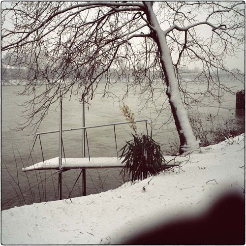 V031 Ile Piot à Avignon