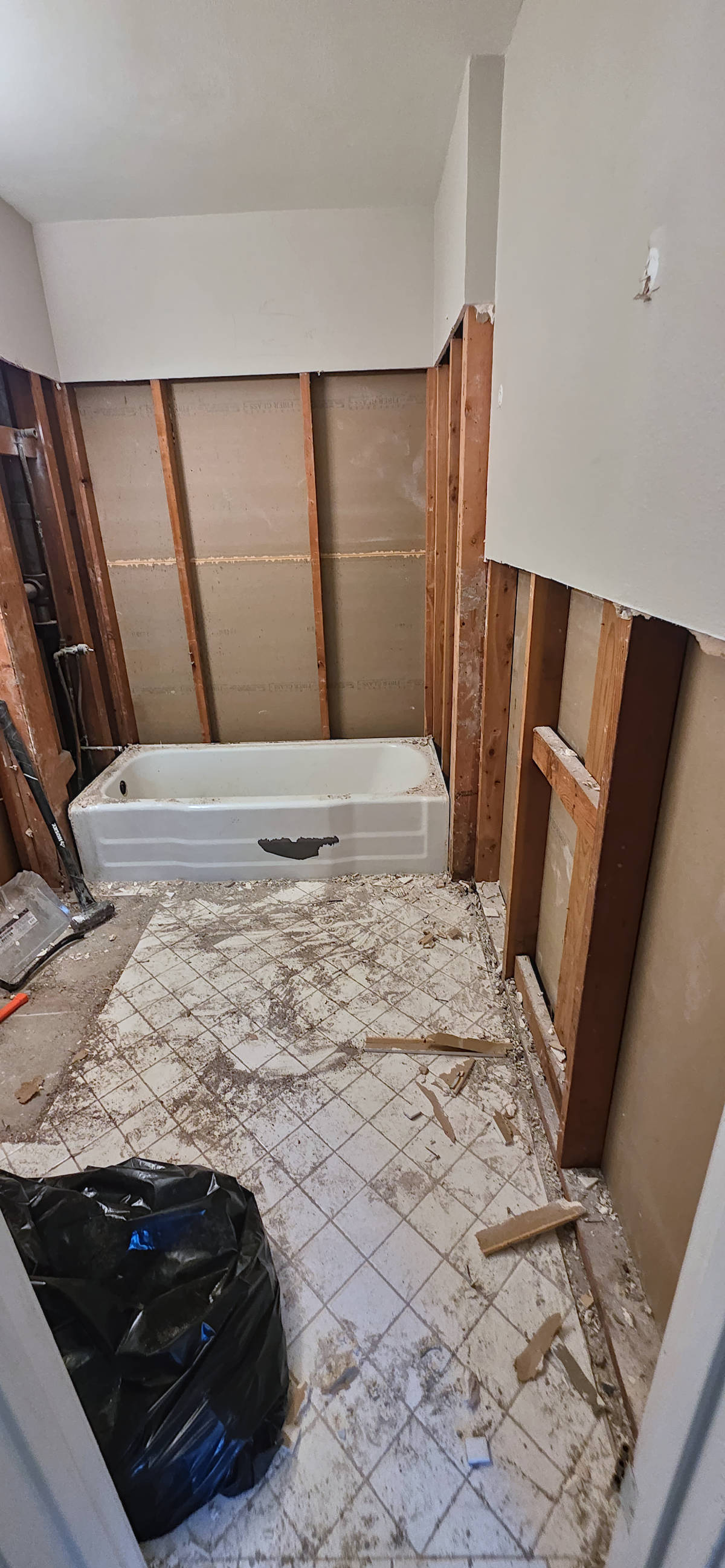 Bathroom remodel demolition.