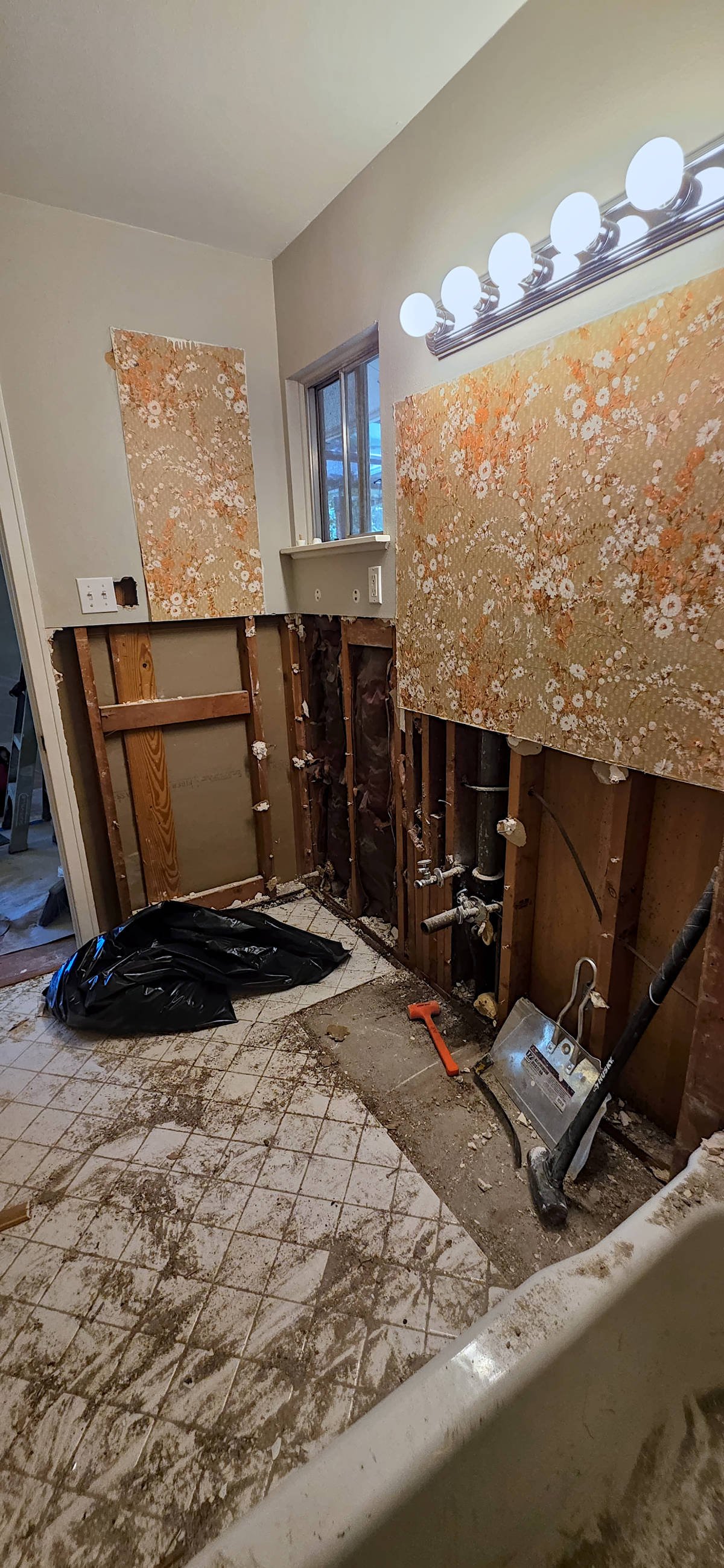 Bathroom remodel demolition.