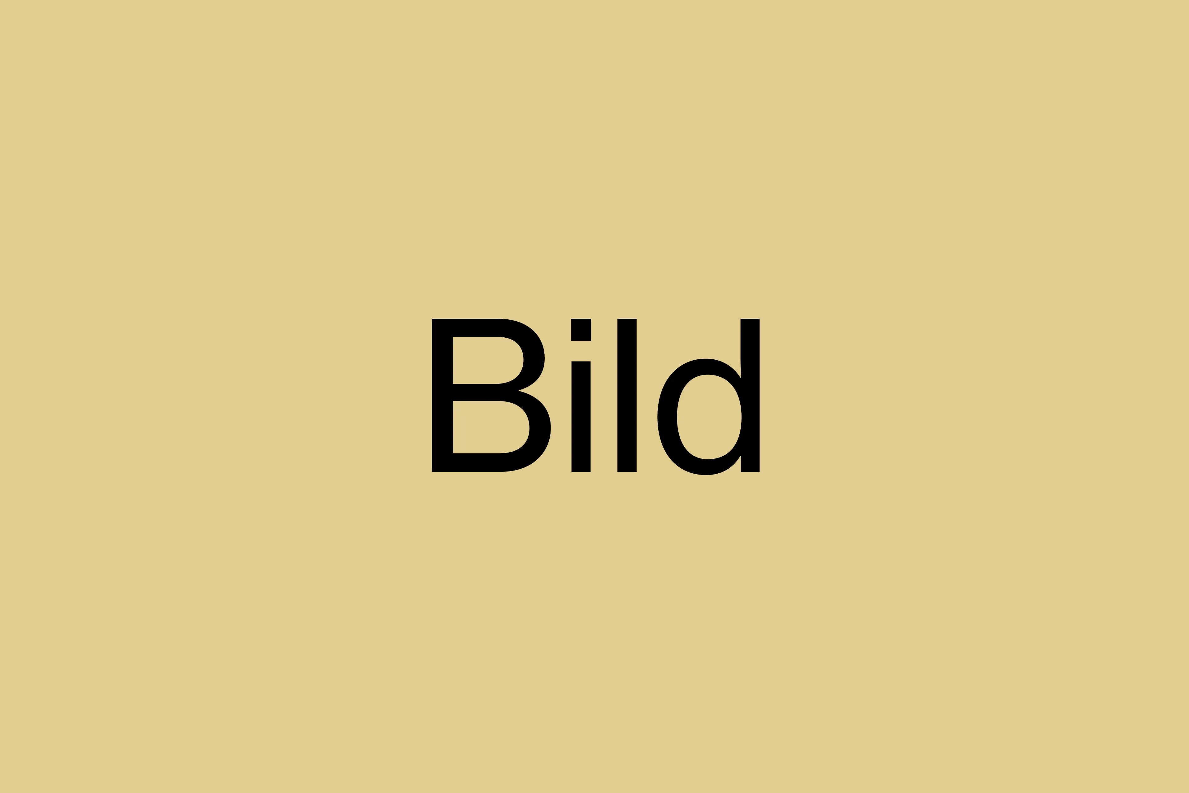 Schlichte beige Fläche mit mittig platziertem schwarzem Text 'Bild'.