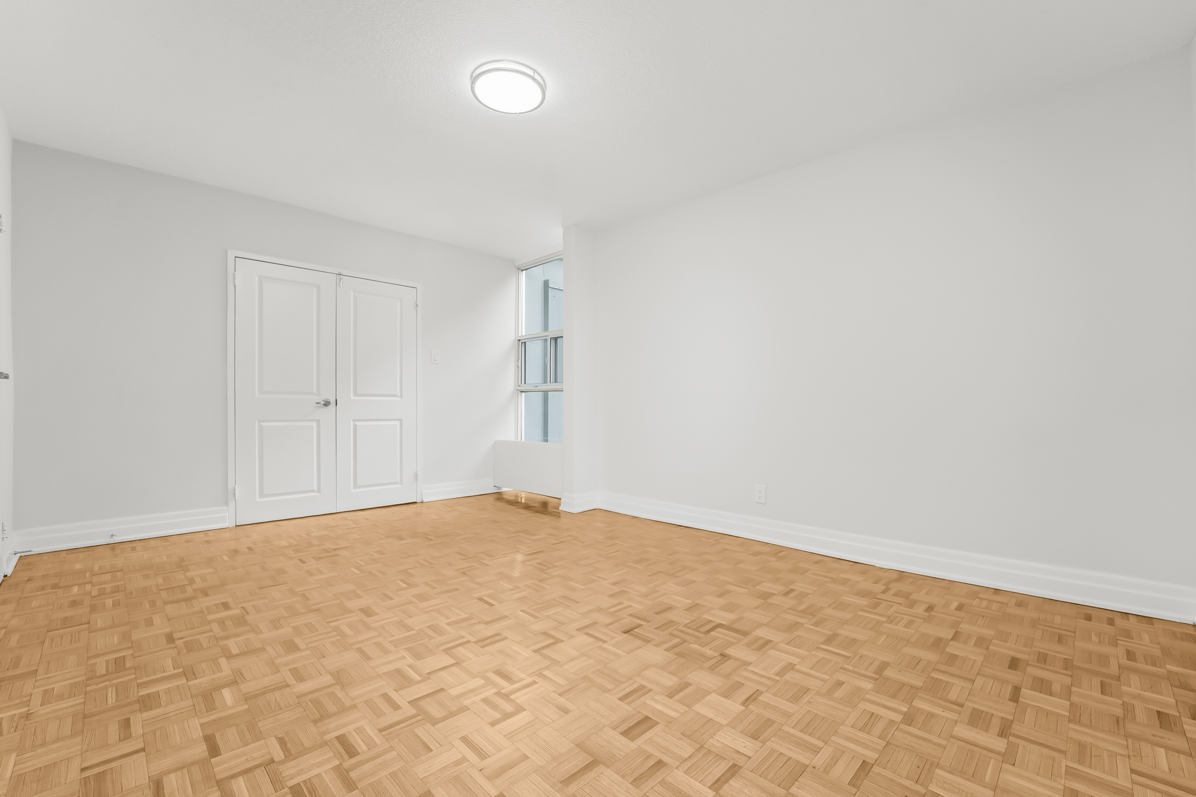 image of company milestones in a timeline format (for an edtech)