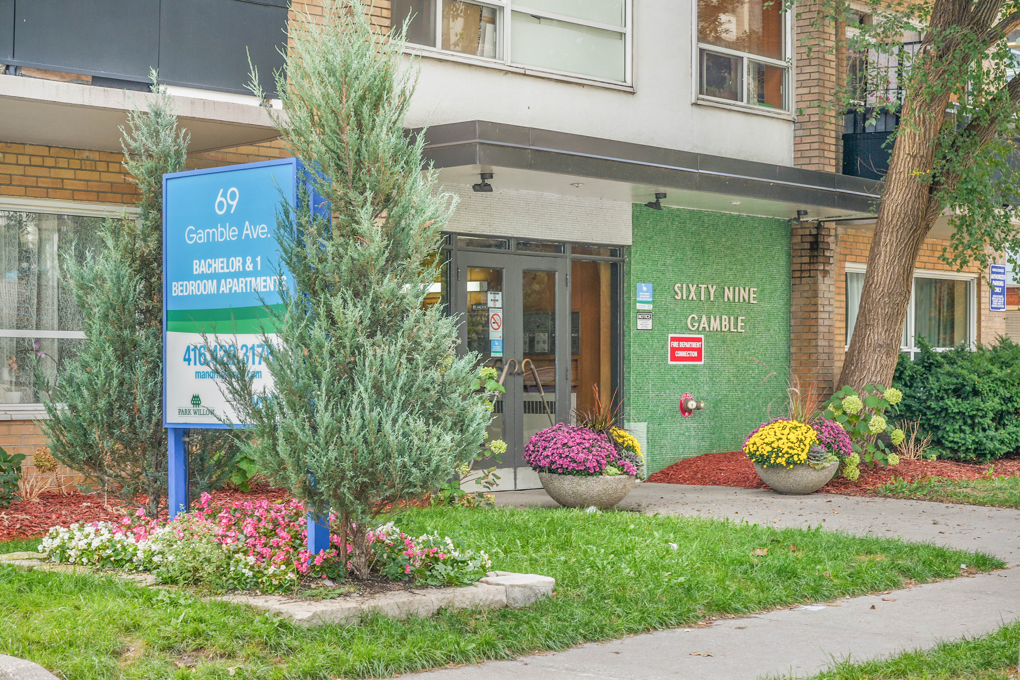 image of company milestones in a timeline format (for an edtech)