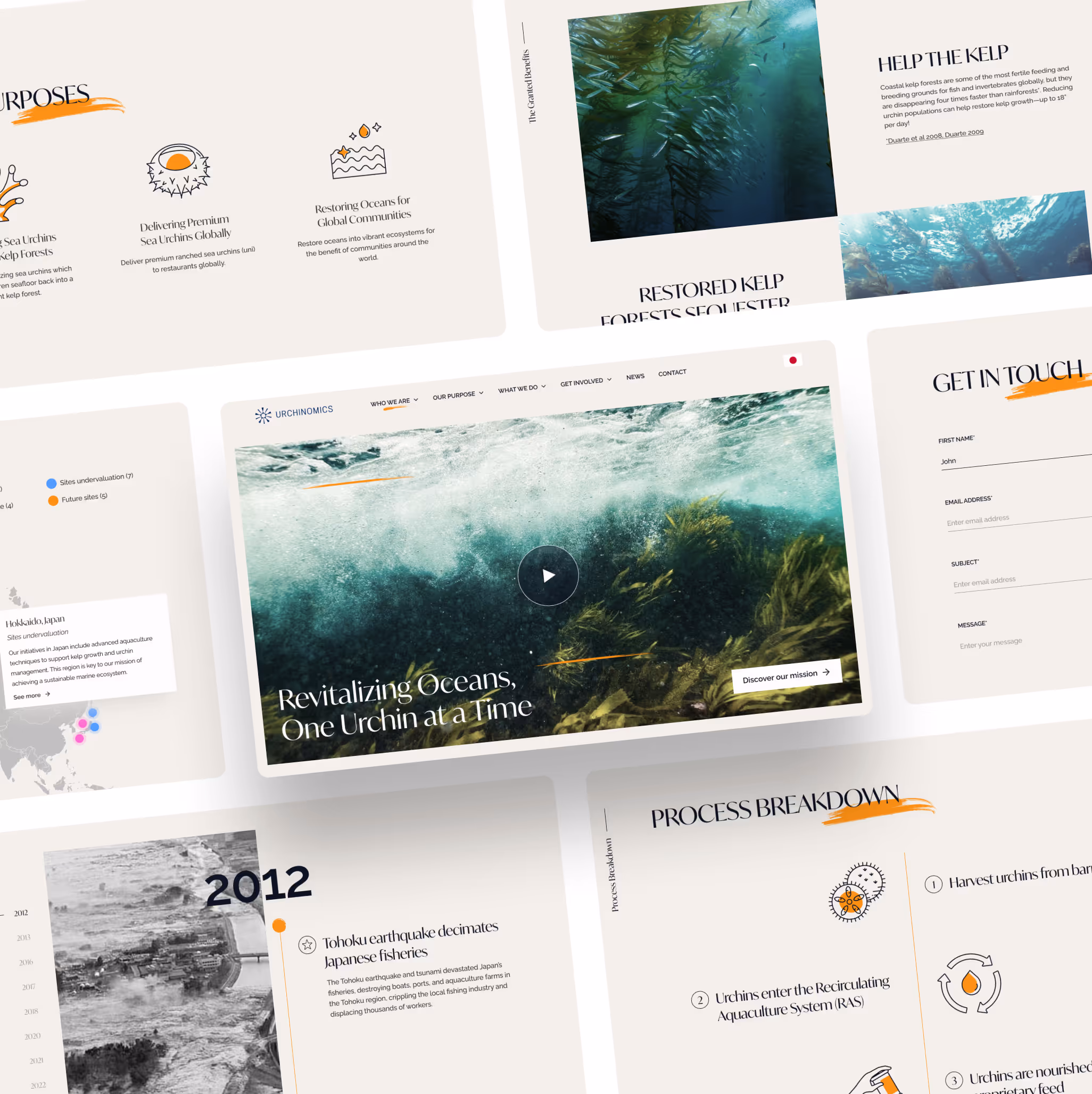 Sparkr Web Design services