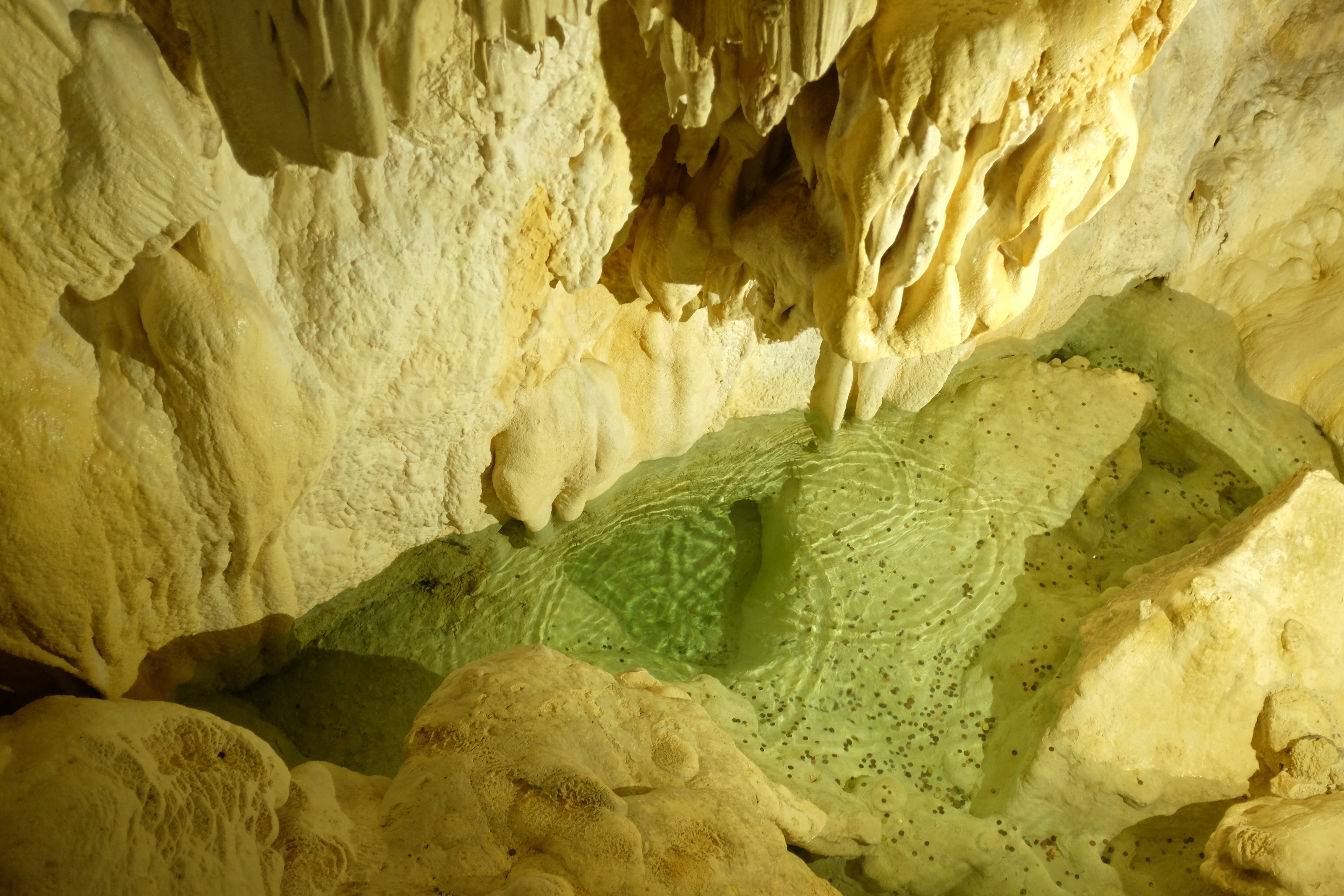 A pool of water with coins tossed for good luck, inside the Harmanecká caves of Slovakia