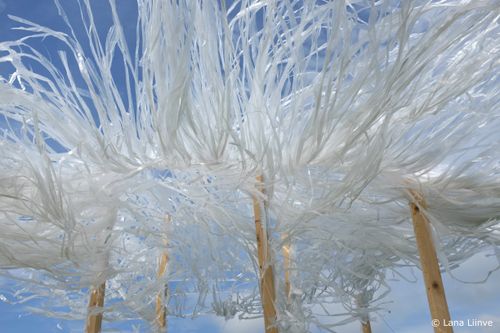 A photo of an outdoor art installation on a sunny blue-skied day in Rakvere, Estonia, looking up at several light wooden posts with hundreds of white stringlike pieces of material flying wild in the wind