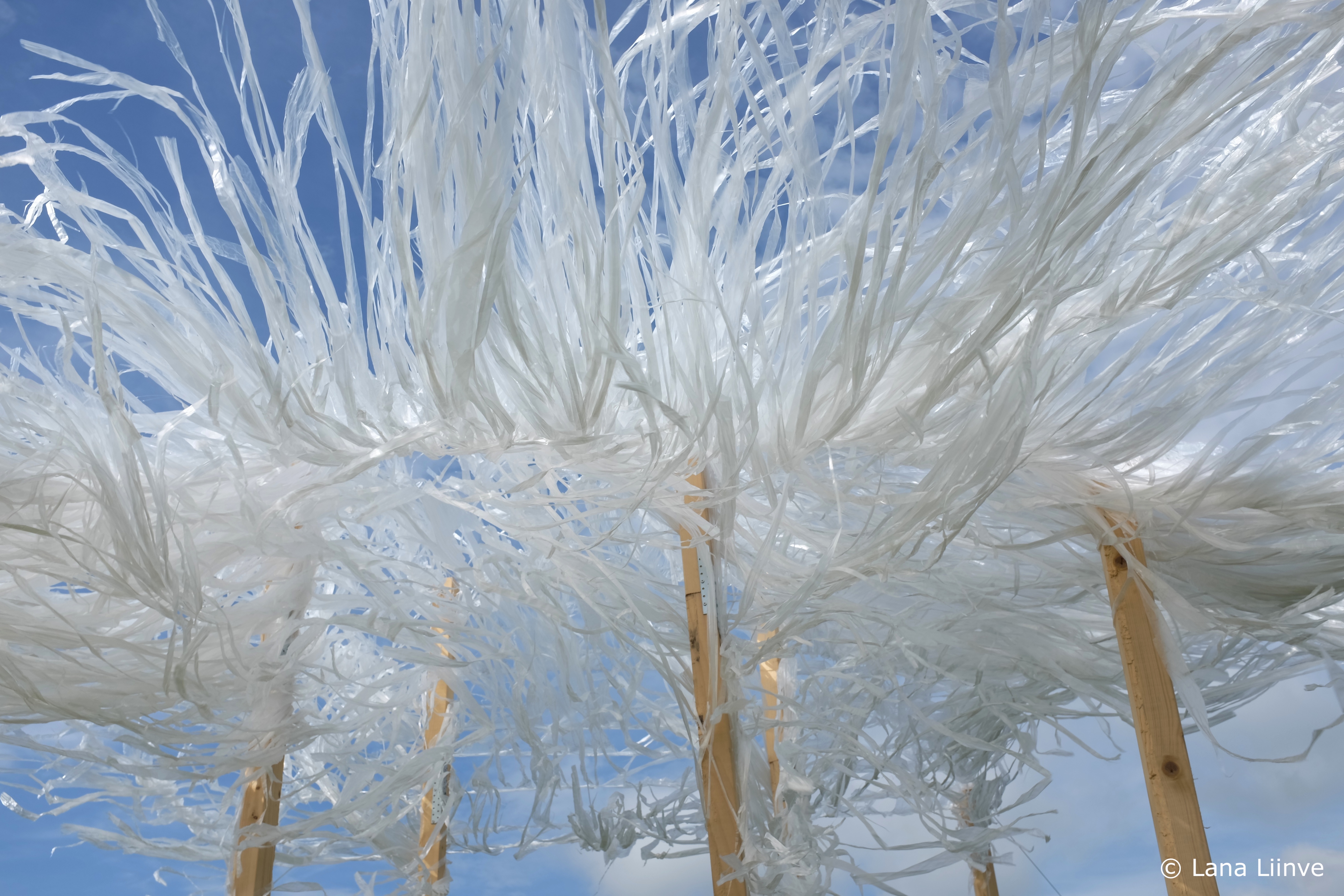 A photo of an outdoor art installation on a sunny blue-skied day in Rakvere, Estonia, looking up at several light wooden posts with hundreds of white stringlike pieces of material flying wild in the wind