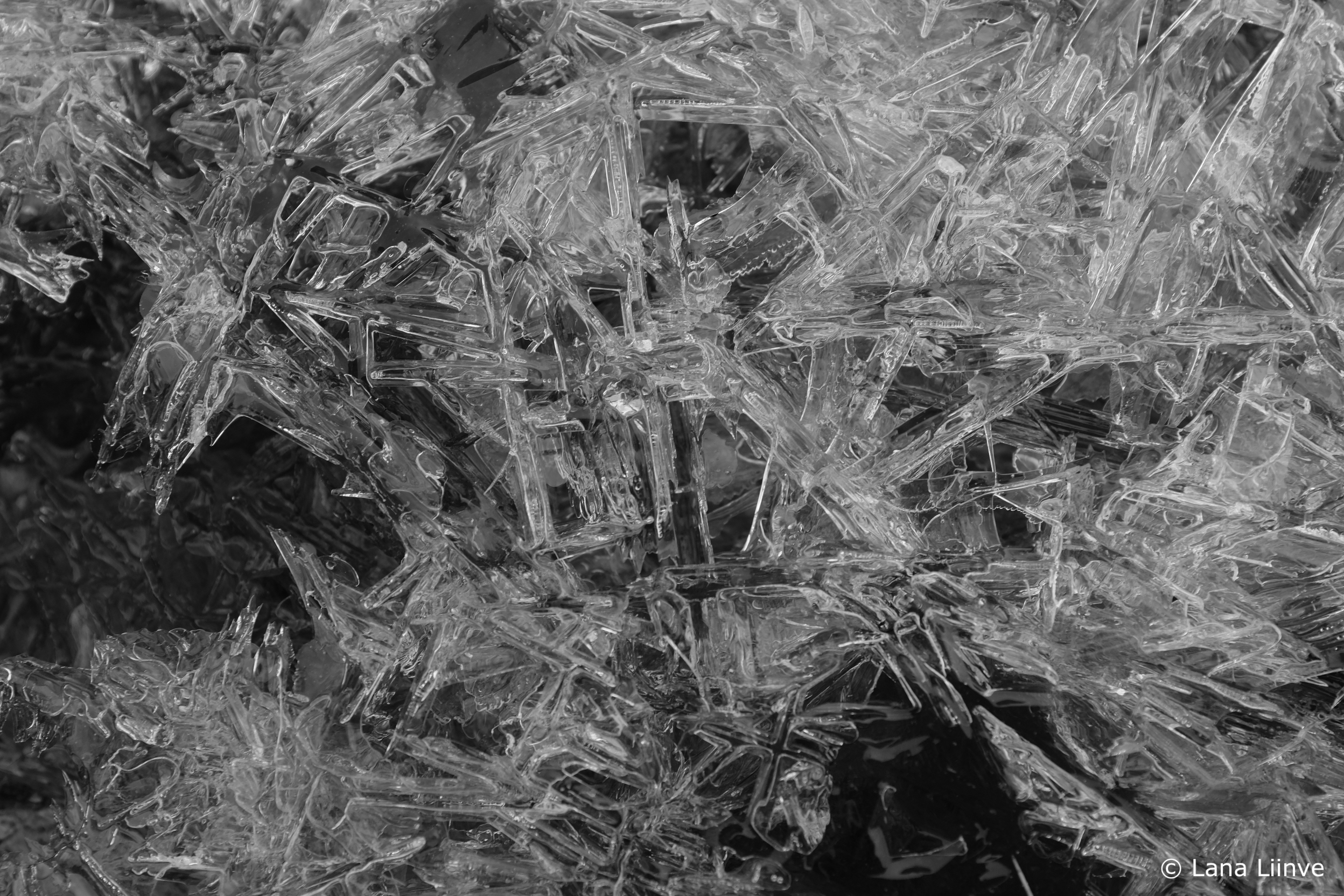A black and white photo of a collection of ice crystals that present with a scattered gridlike pattern