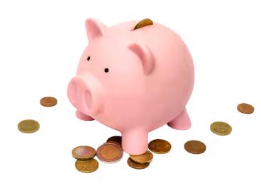 Pig image