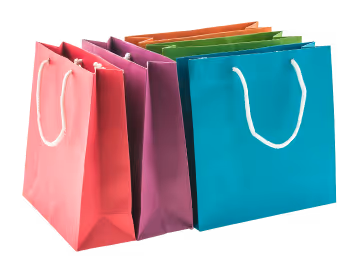bags logo