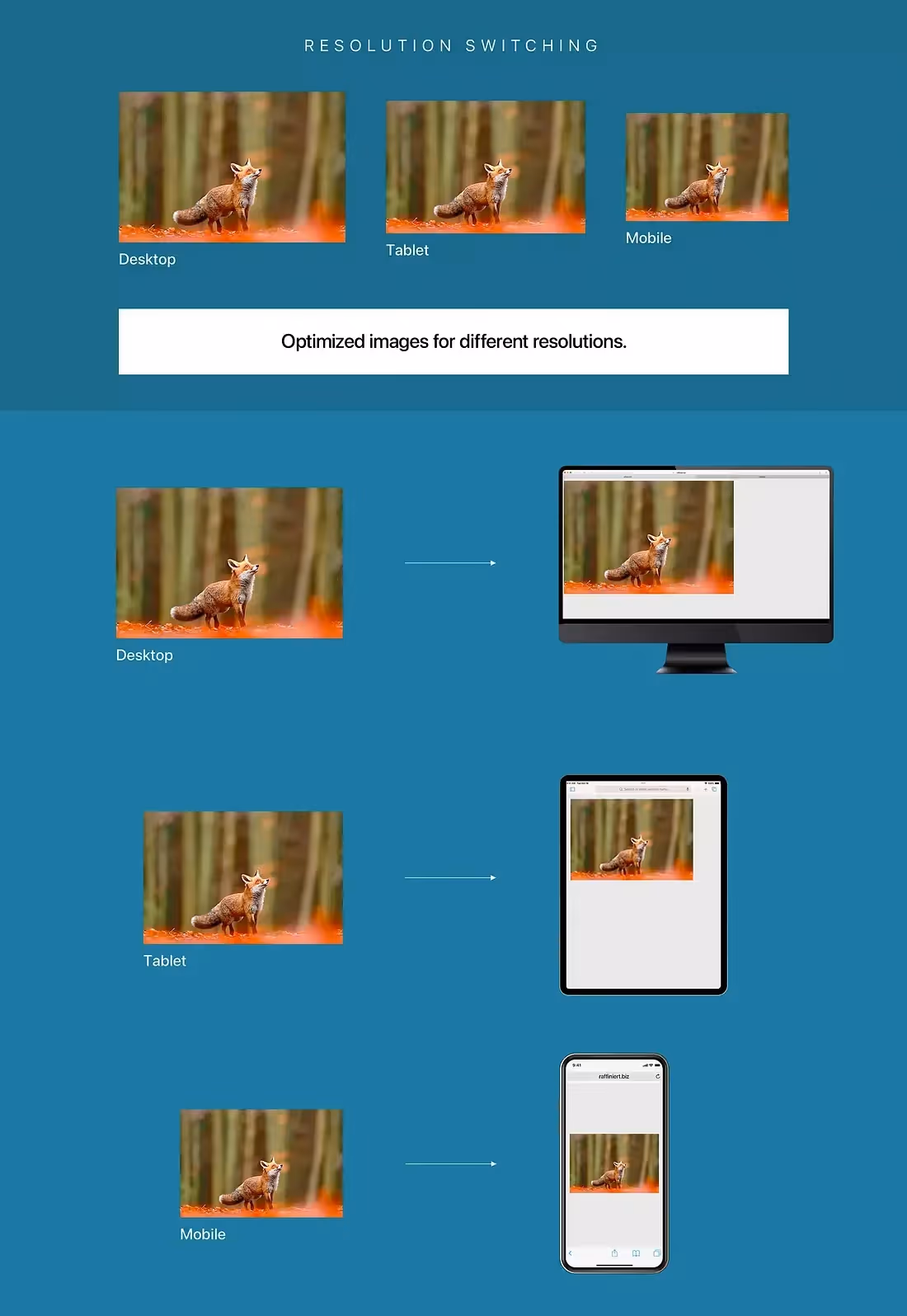 Flexible images techniques