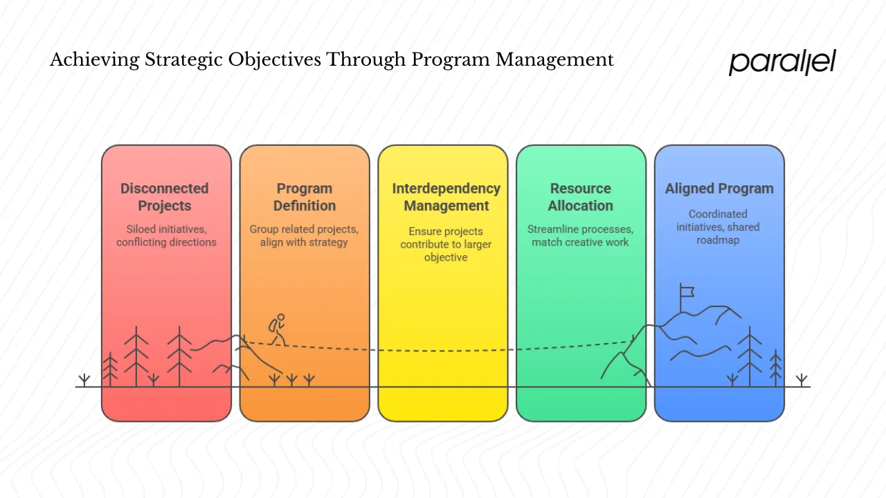 What is a program manager?