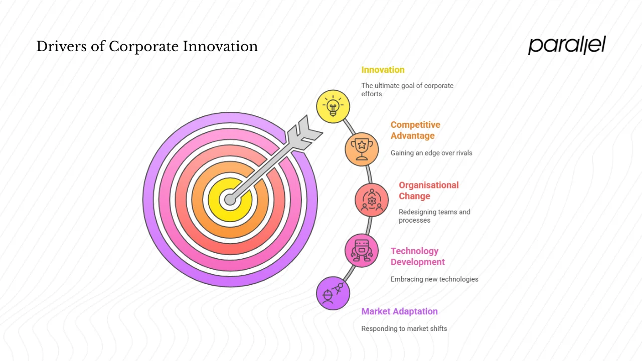 Key drivers of corporate innovation