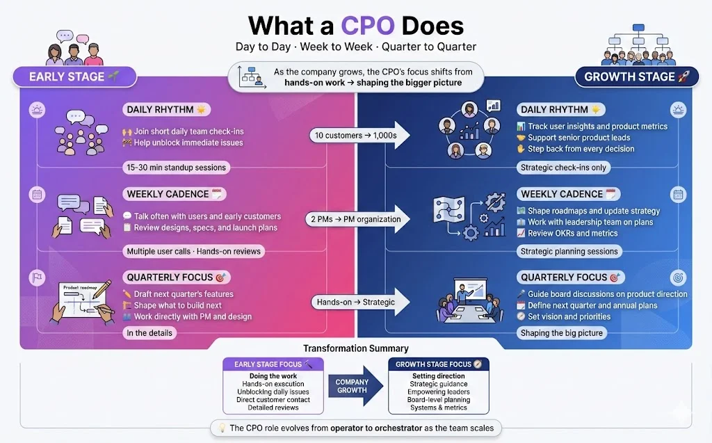 What a CPO Does Day to Day, Week to Week, and Each Quarter