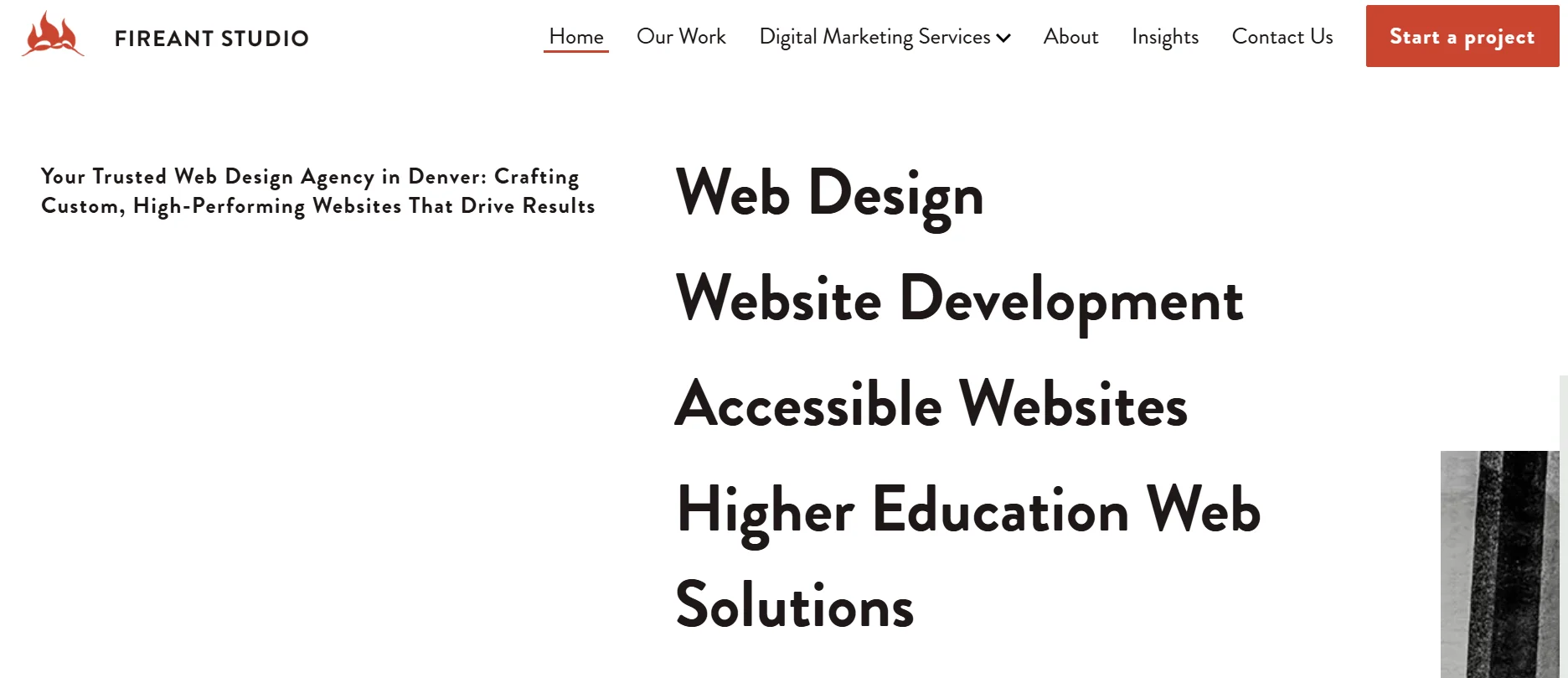 Fireant Studio — Custom CMS Focus
