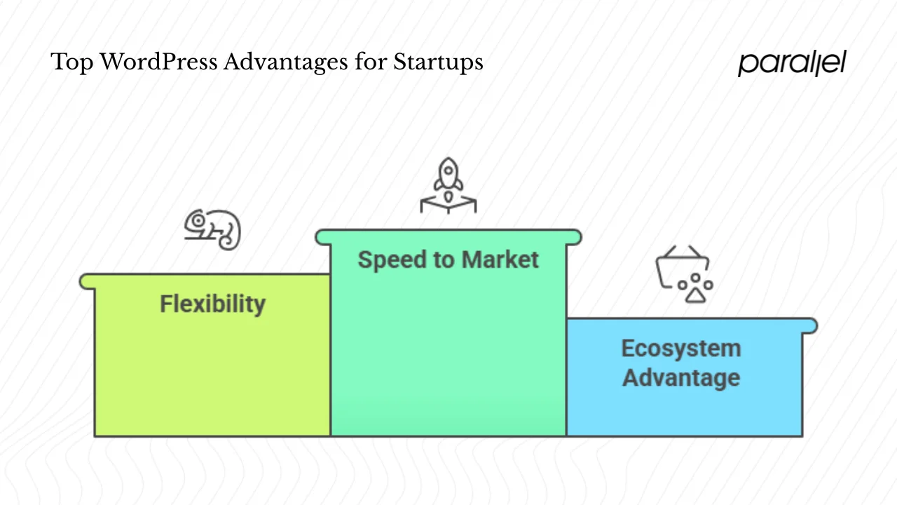 Why startups still choose WordPress