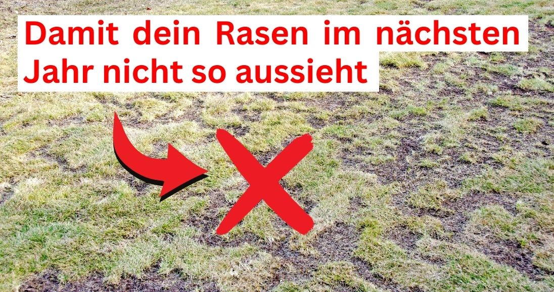 Rasen der nicht winterfest gemacht wurde