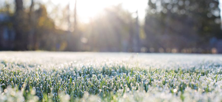 Rasen mit Frost