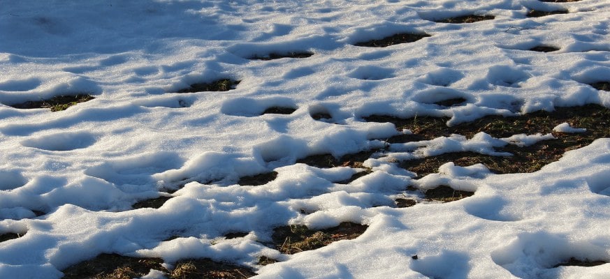 Rasen mit Schneedecke