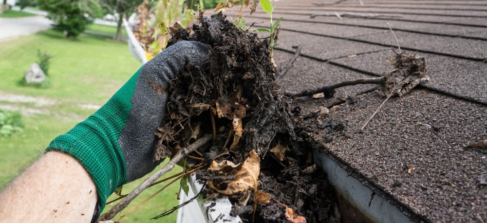 Immobilienpflege Dachrinne reinigen