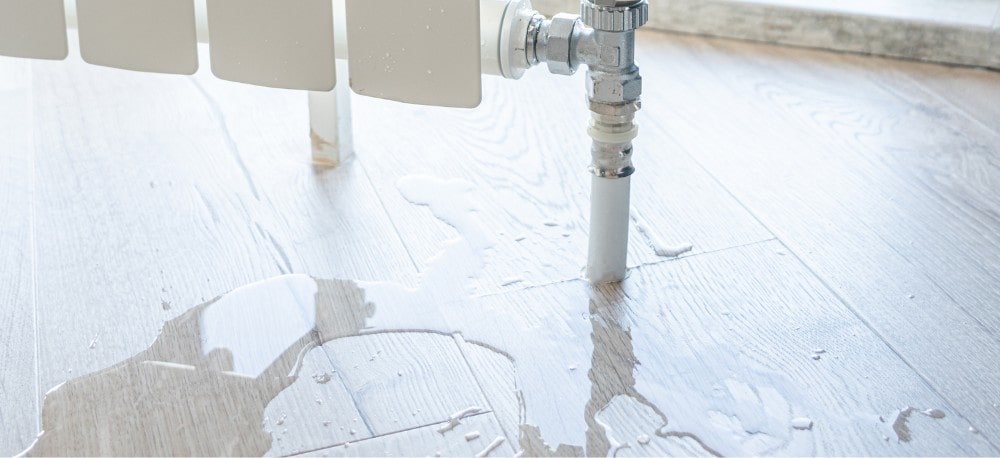 Immobilienpflege Wasserschaden