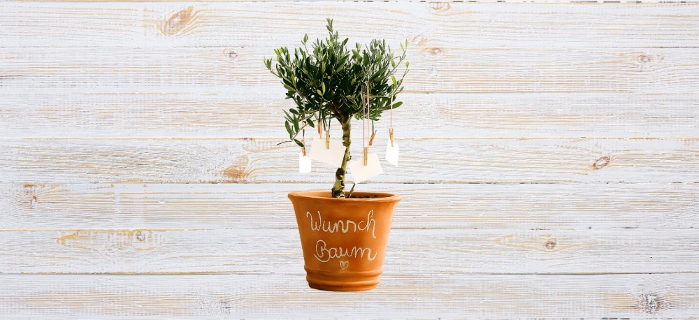 Ein Igelhaus als Geschenk zum Richtfest für den Nachbarn