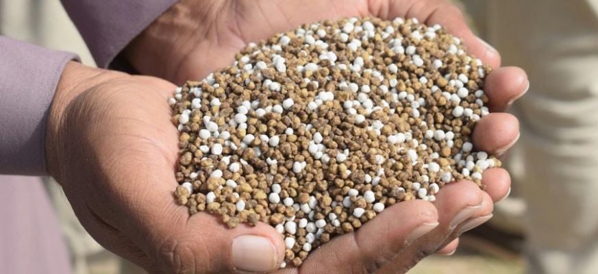 Slug eggs vs. Fertilizer