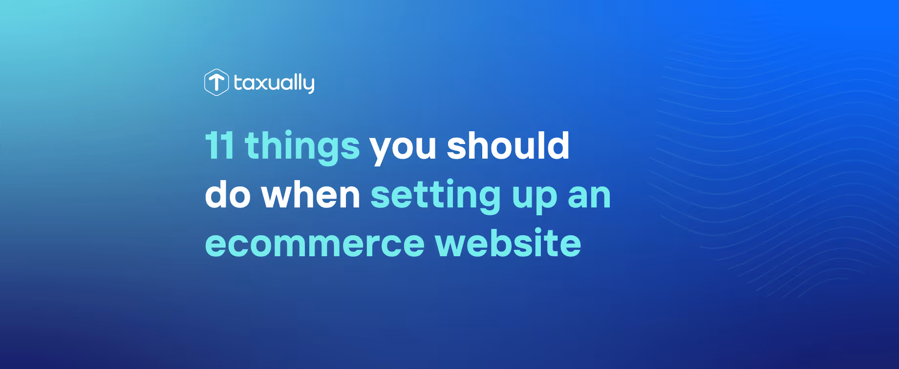 11 Things You Should Do When Setting up an Ecommerce Website