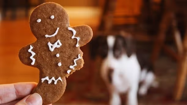 gingerbread man with icing