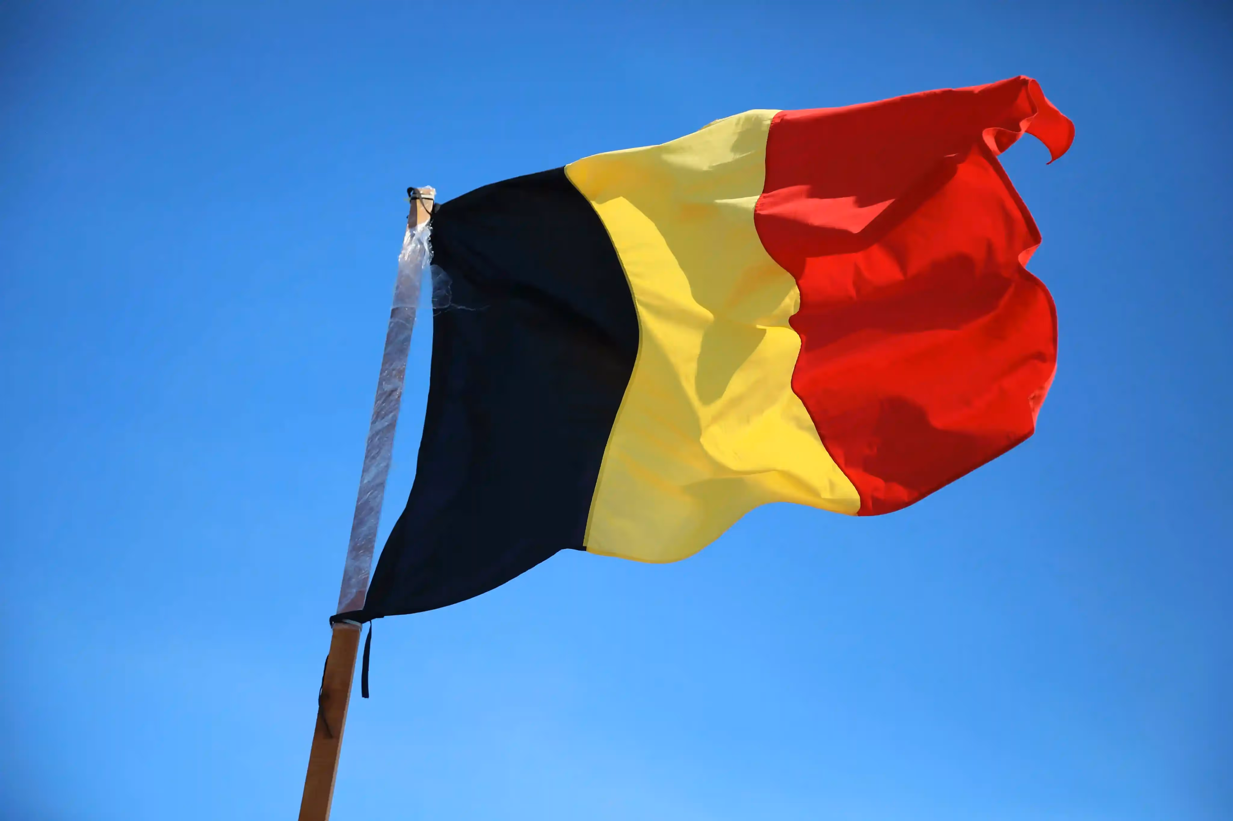 Belgian flag waving against a clear blue sky.