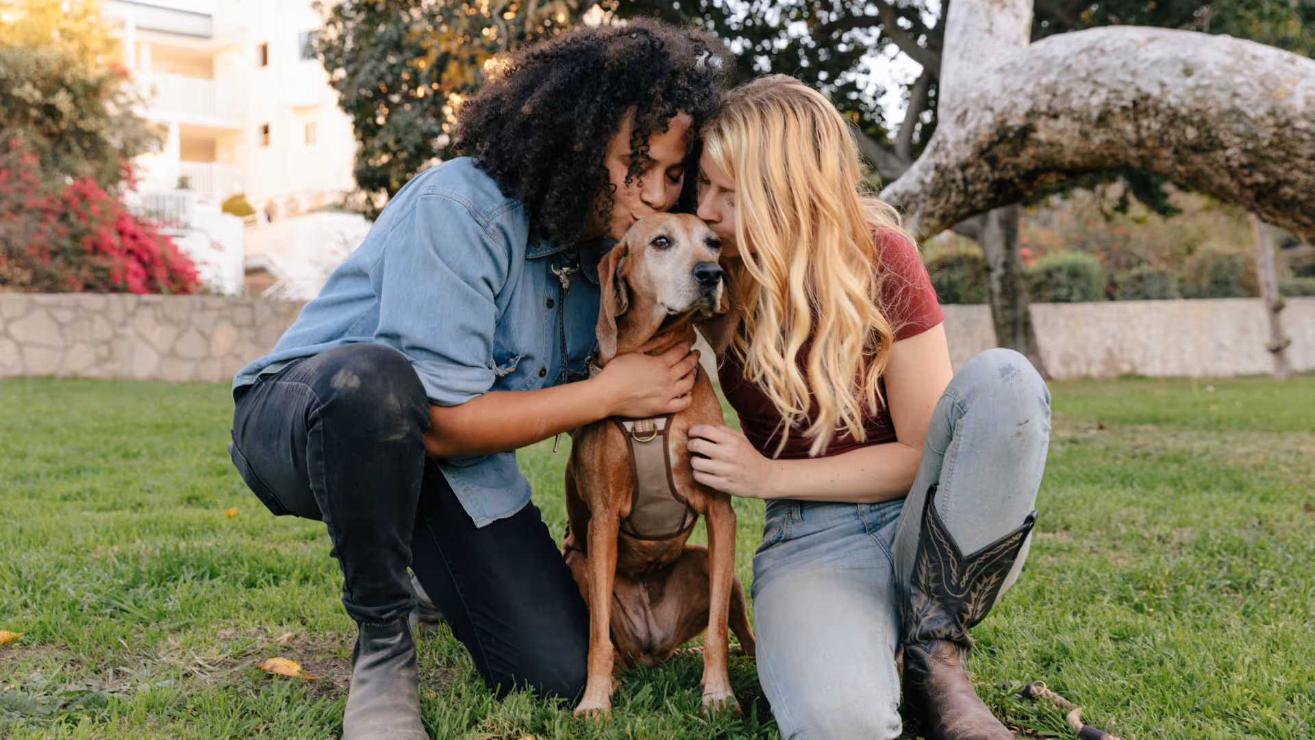 A couple kisses their dog in a grassy area.