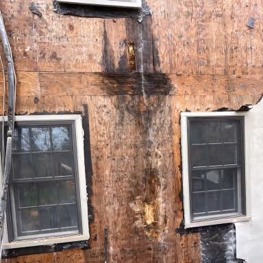 rotted wood from stucco