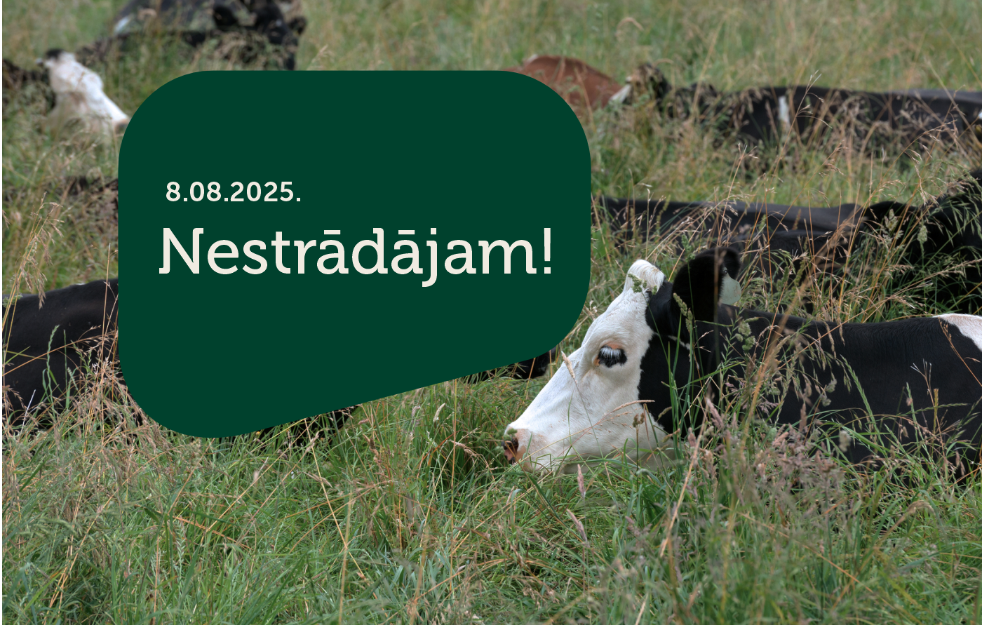 NovusVet darba 8.08.2025. nestrādā