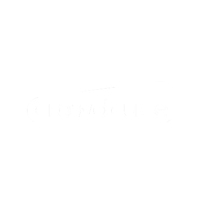 Crowd Cube