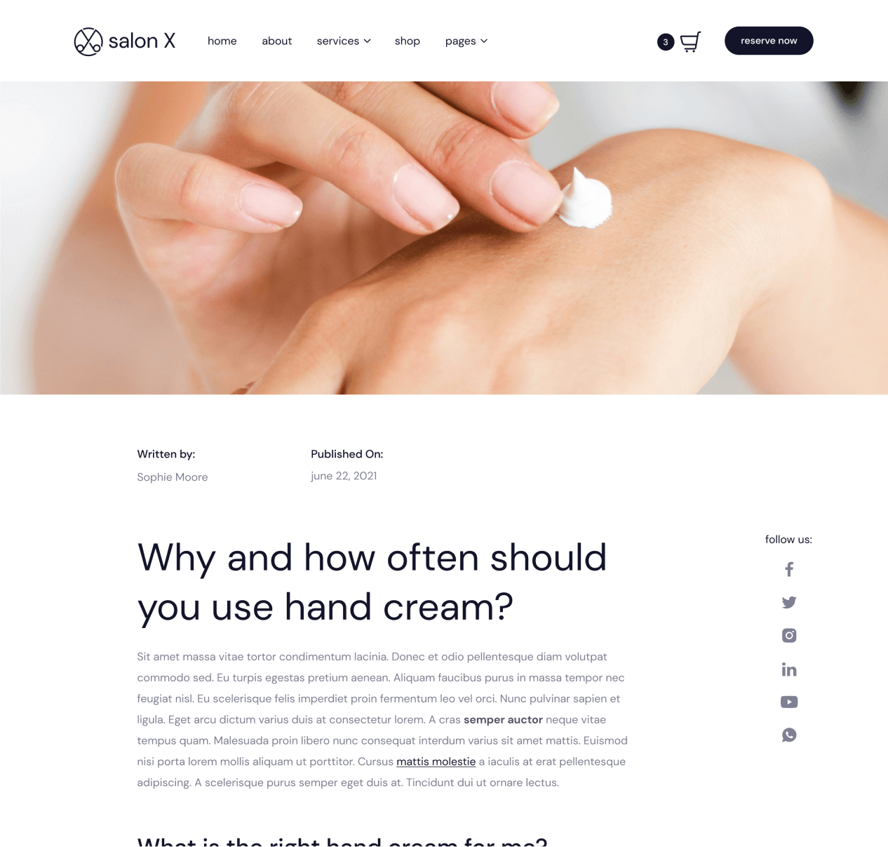 Salon X - Blog Post page - Salon Webflow Template