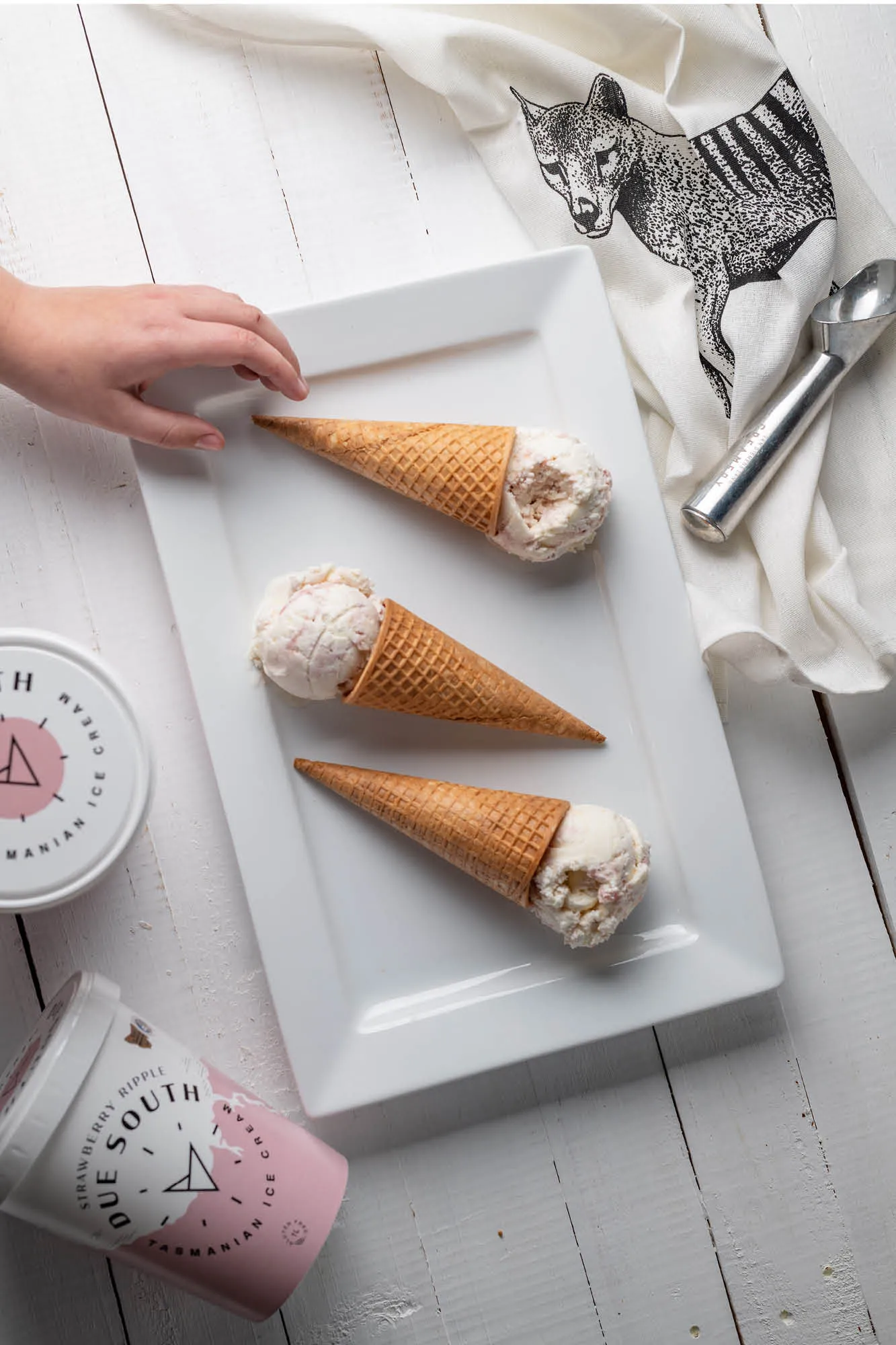 Due South Photography - 14.