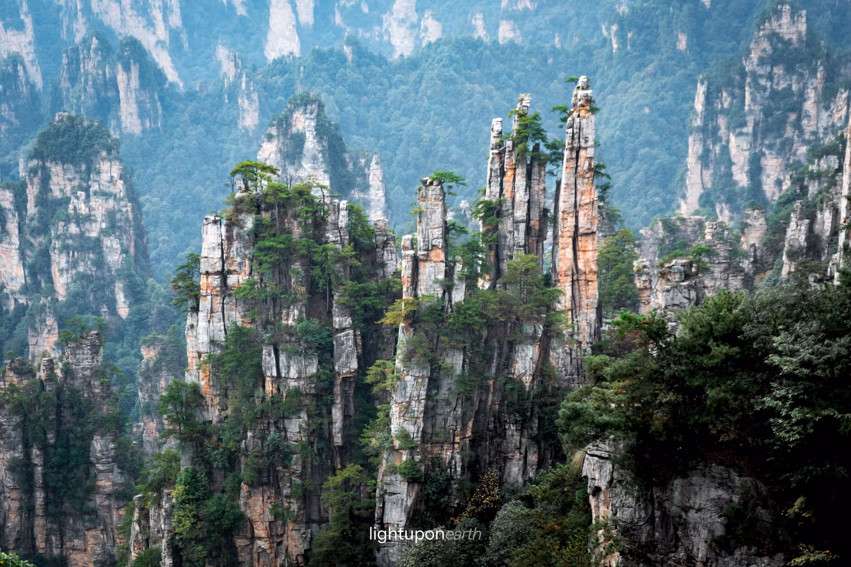 unique rock formations with tree growing on top