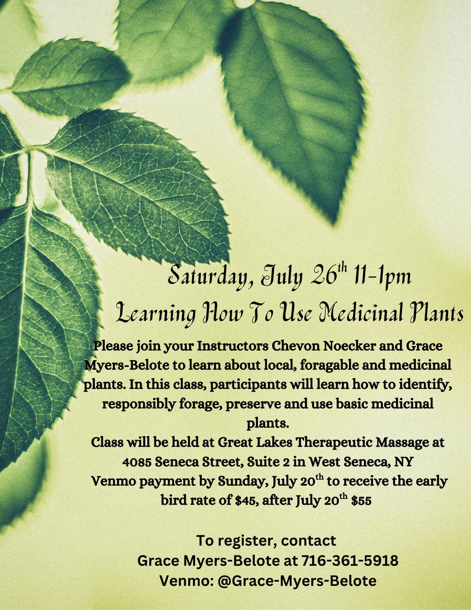 Join Grace Myers-Belote and Chevon Noecker on Saturday, July 26th from 11:00 am – 1:00 pm for a hands-on class on identifying and using medicinal plants.