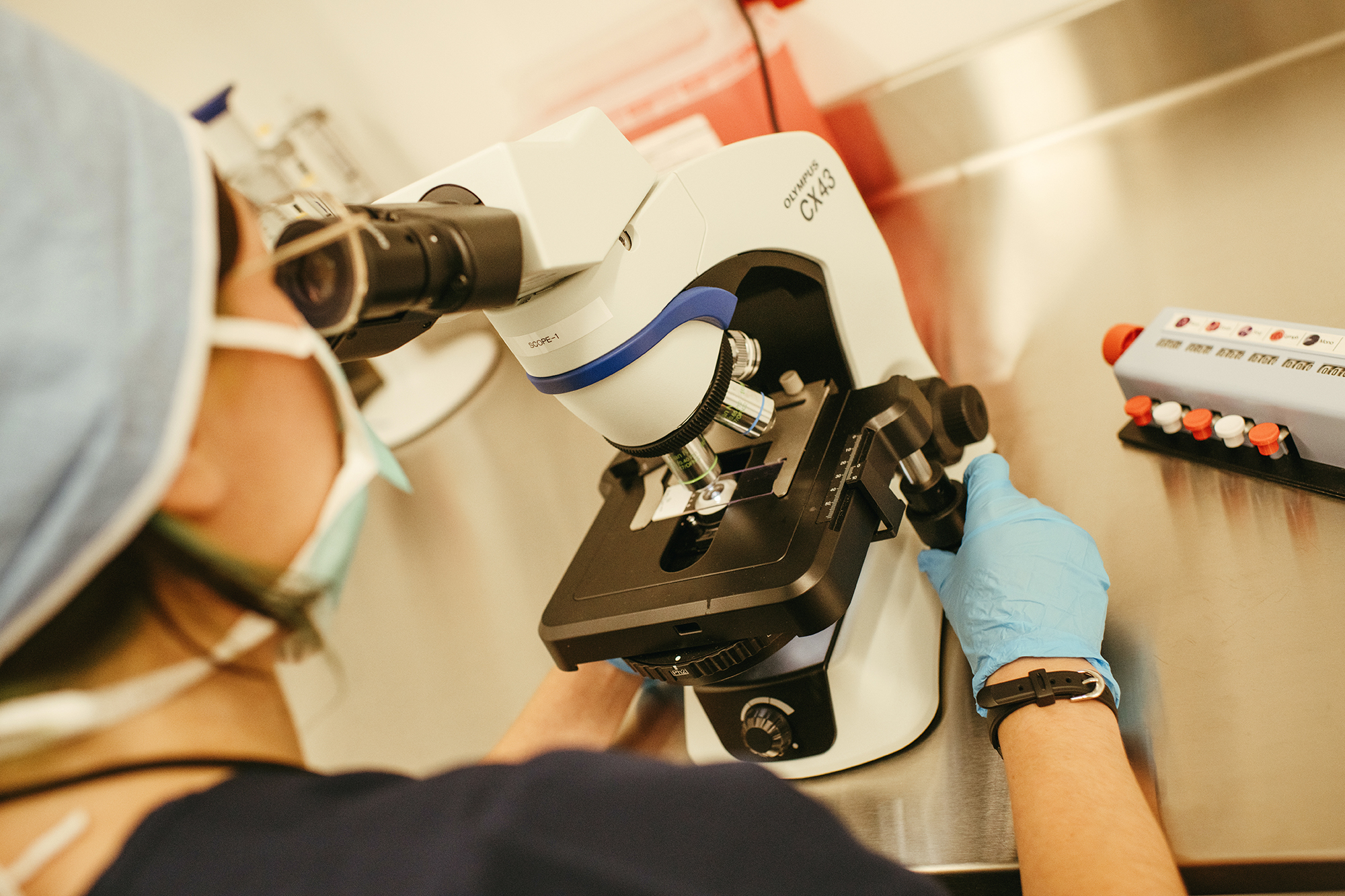 Fertility & Reproductive Services In Walnut Creek & Bay Area