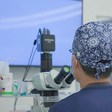 Replace with IVF laboratory photo