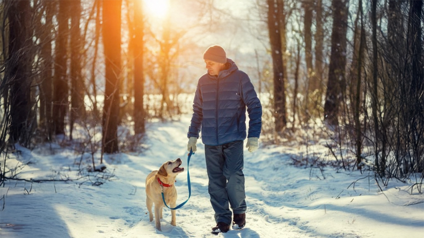 A man and woman are seated with their legs crossed, stretching their left arms up and extending them to the right side of their bodies.
